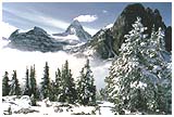 September Snow, Carole Harmon, 1985